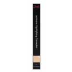 Sleek Concealer Luminaire Highlighting L02 X 3