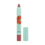Max Factor X Priyanka Lip Crayon Matte 001 Mauve Love X 6